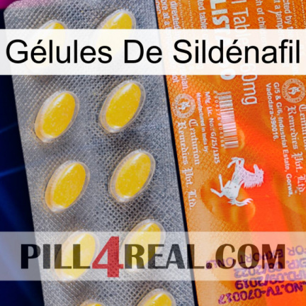 Gélules De Sildénafil new05